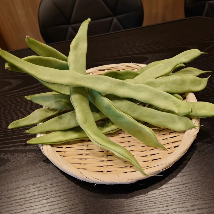 画像400